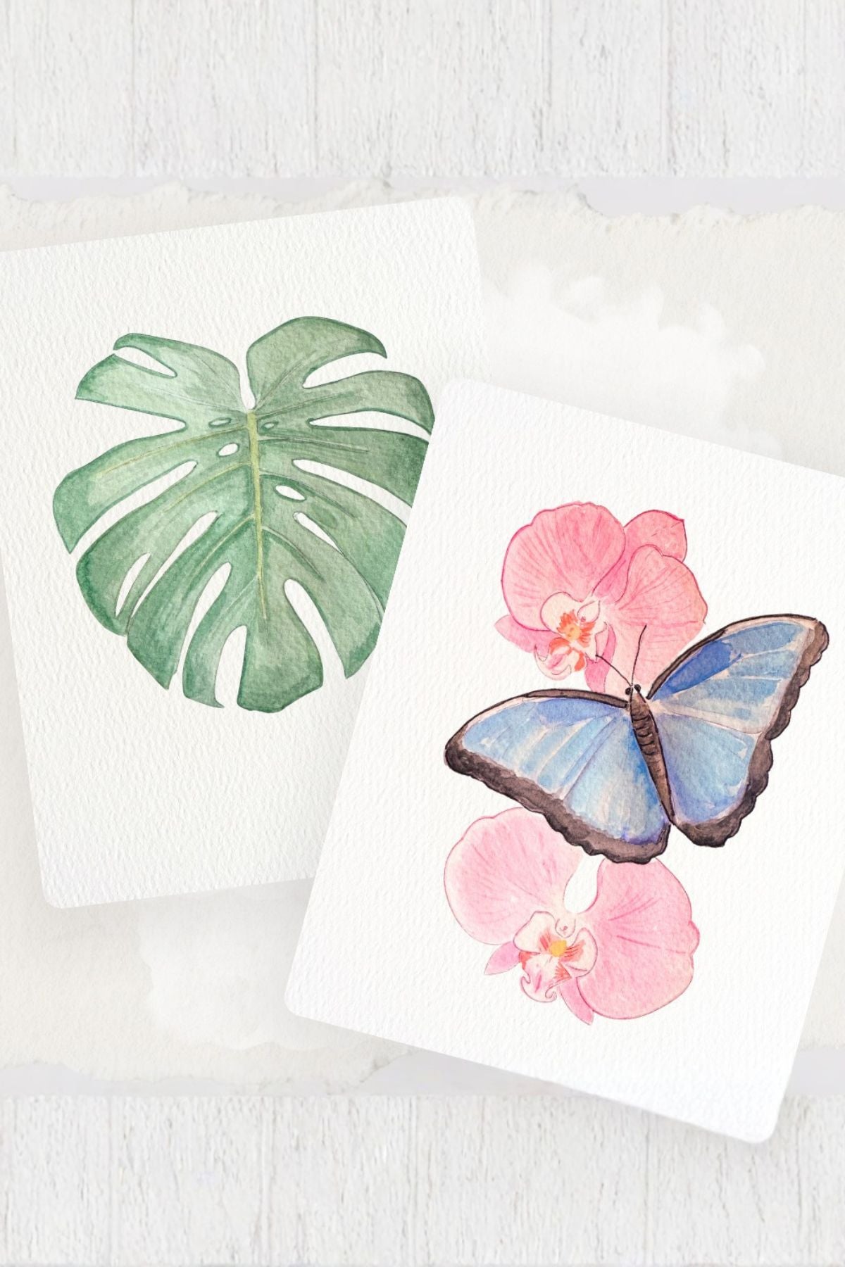 Frey Wild Watercolor | Kit | AZ