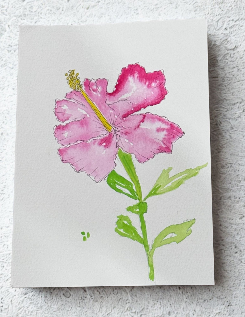 Hibiscus Watercolor Wash and Ink