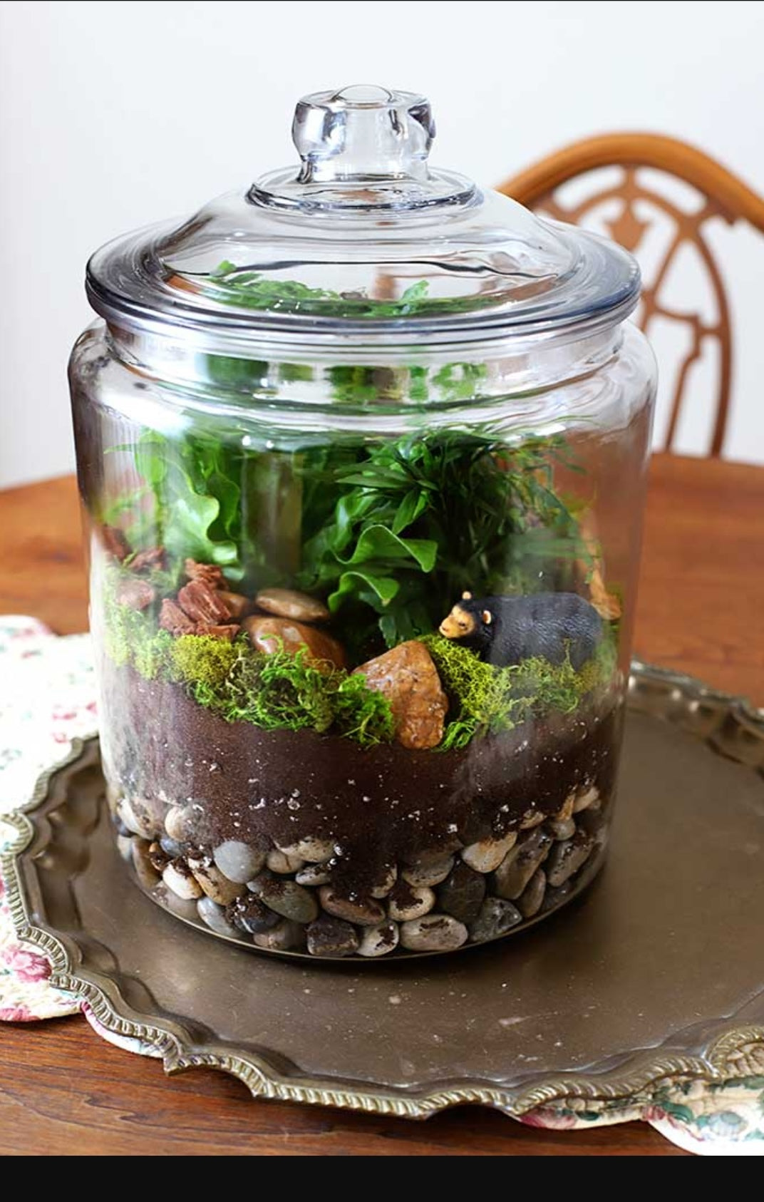 Ellis DIY Tropical Terrarium | Kit | KS