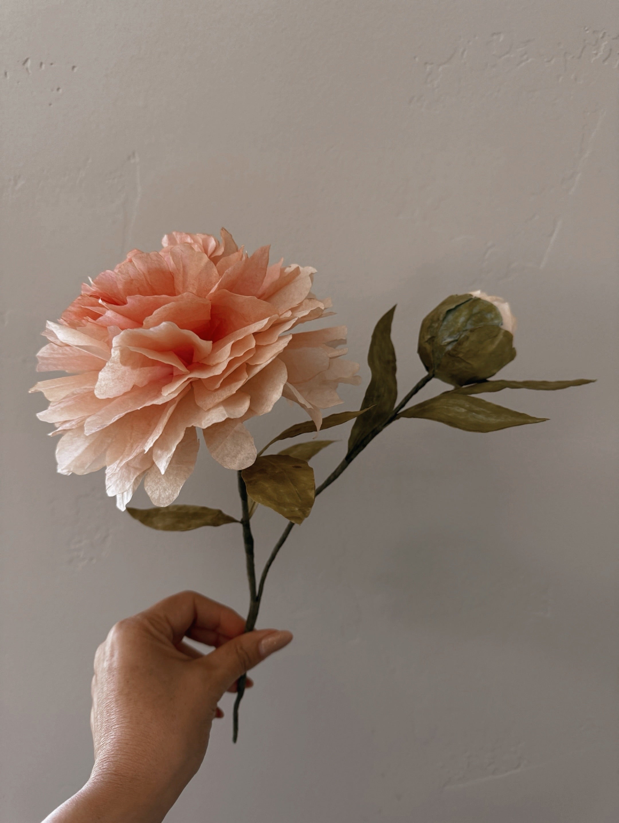 Tokos Brewing Blooms Paper Peony | Kit | AZ