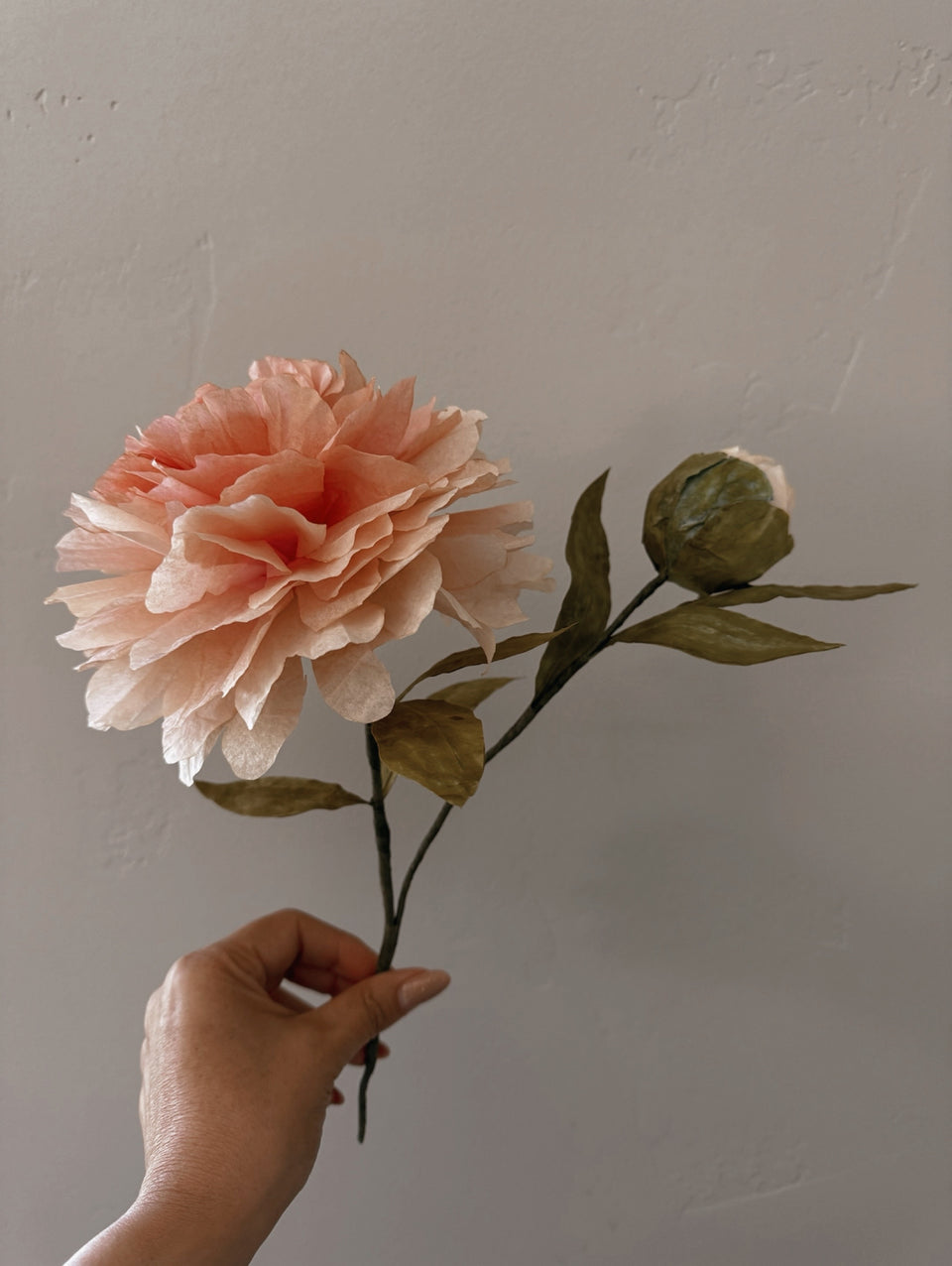 Brewing Blooms Paper Peony